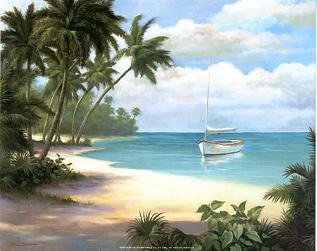 c sidi rahal::::::::::